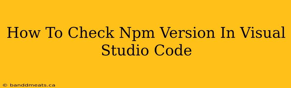 How To Check Npm Version In Visual Studio Code 