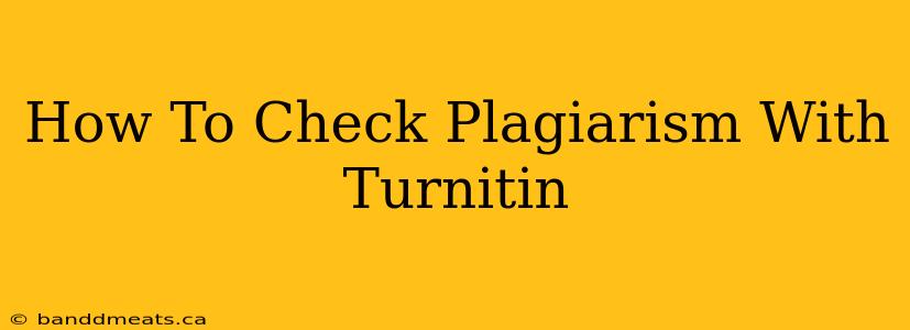 How To Check Plagiarism With Turnitin