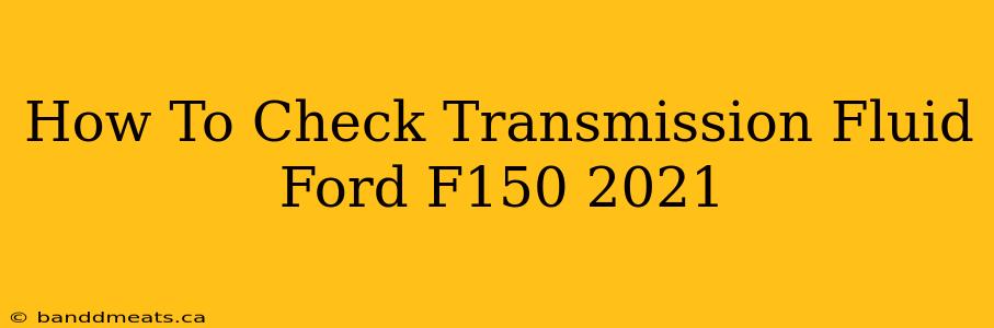 How To Check Transmission Fluid Ford F150 2021