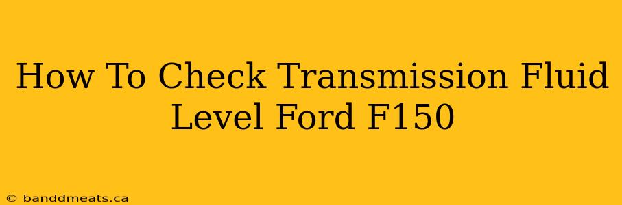 How To Check Transmission Fluid Level Ford F150