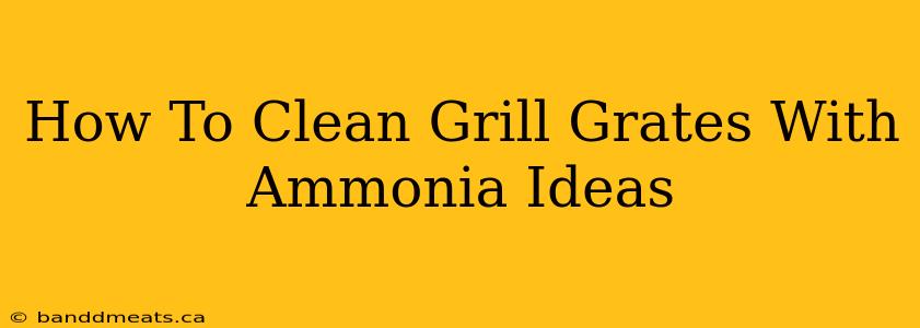 How To Clean Grill Grates With Ammonia Ideas