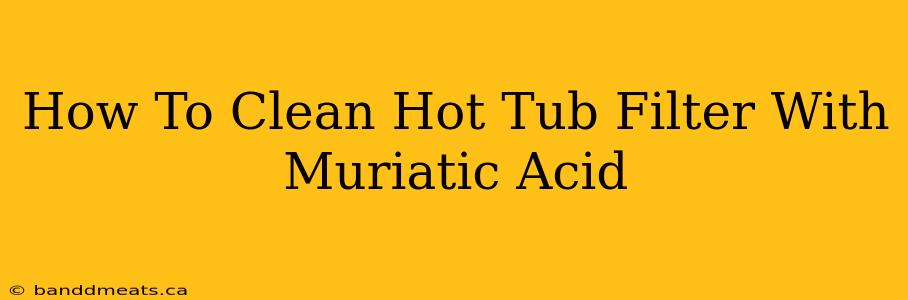 How To Clean Hot Tub Filter With Muriatic Acid