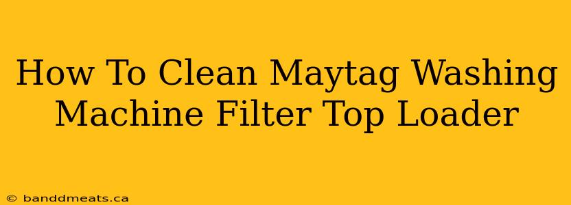 How To Clean Maytag Washing Machine Filter Top Loader