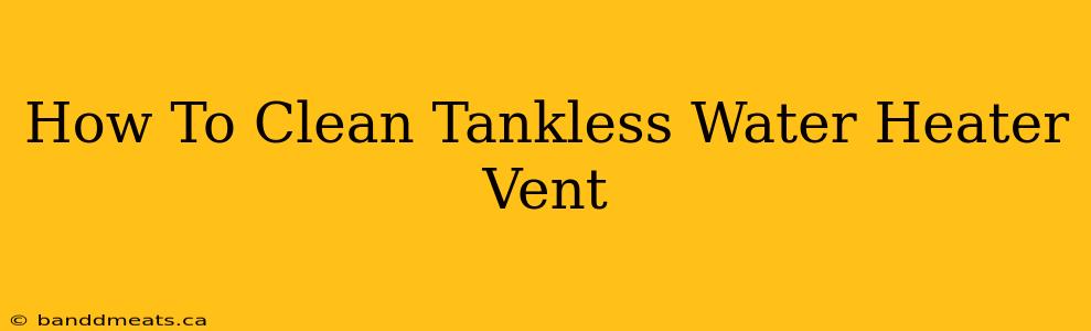 How To Clean Tankless Water Heater Vent