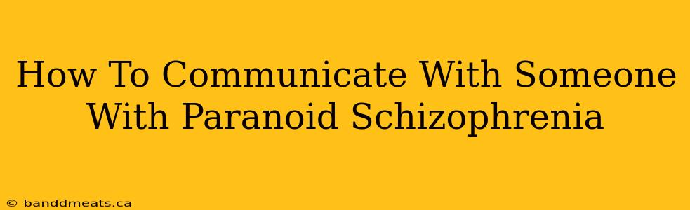 How To Communicate With Someone With Paranoid Schizophrenia