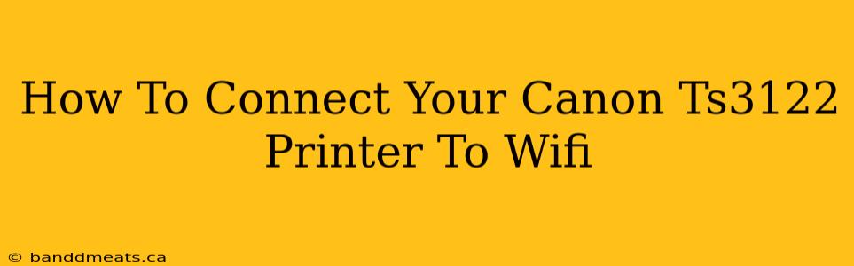 How To Connect Your Canon Ts3122 Printer To Wifi