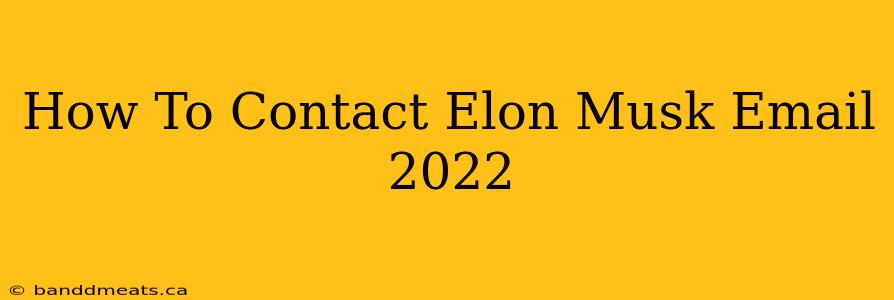 How To Contact Elon Musk Email 2022