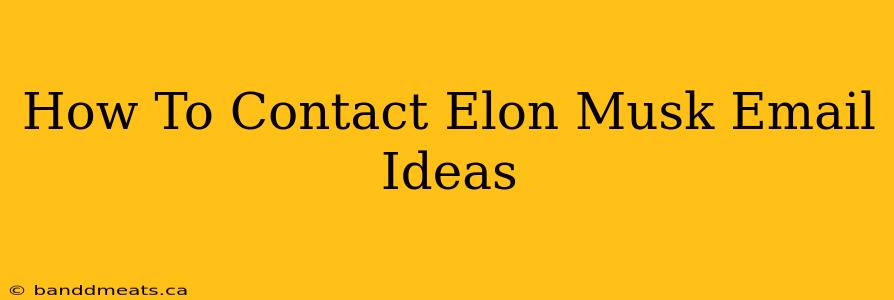 How To Contact Elon Musk Email Ideas