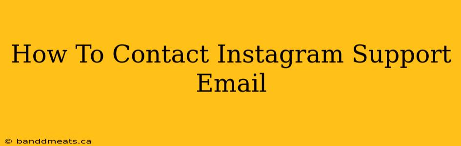 How To Contact Instagram Support Email