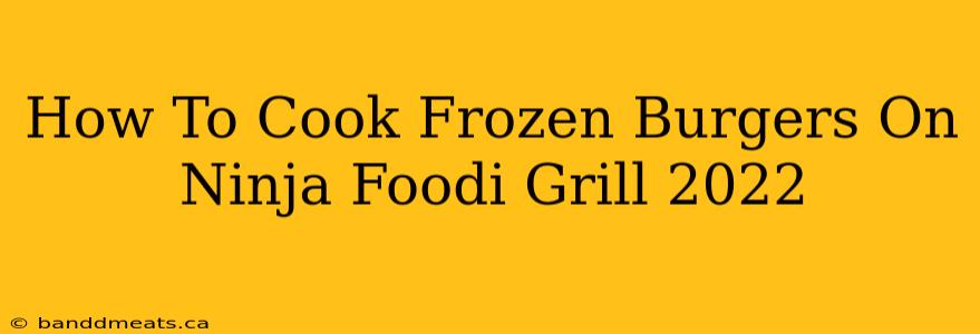 How To Cook Frozen Burgers On Ninja Foodi Grill 2022