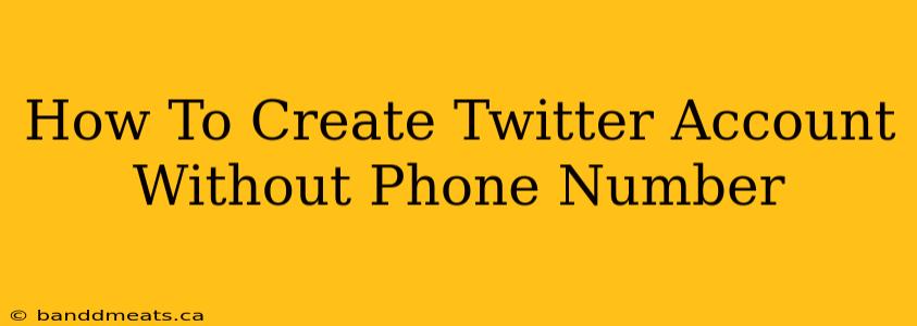 How To Create Twitter Account Without Phone Number