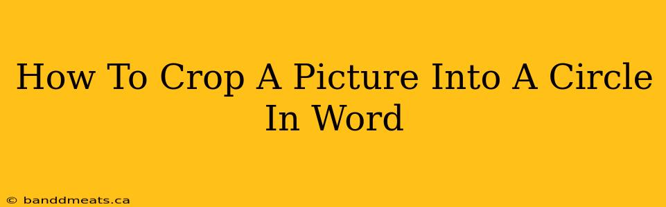 How To Crop A Picture Into A Circle In Word