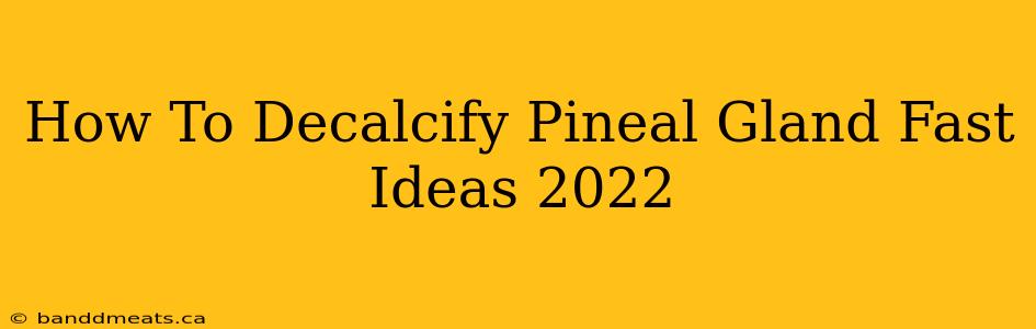 How To Decalcify Pineal Gland Fast Ideas 2022