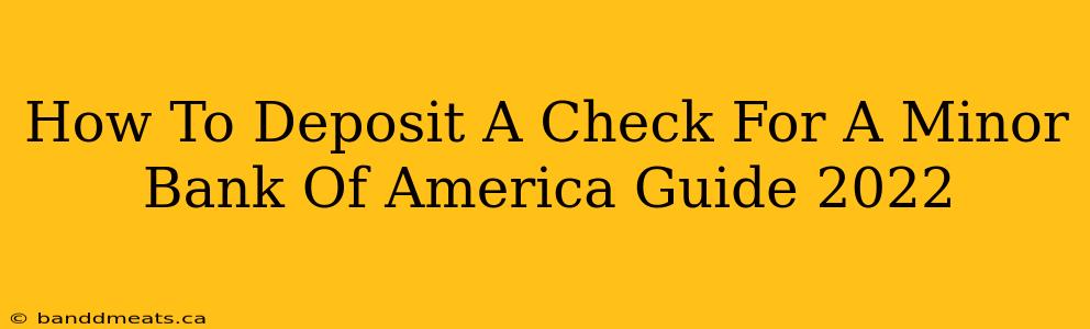 How To Deposit A Check For A Minor Bank Of America Guide 2022