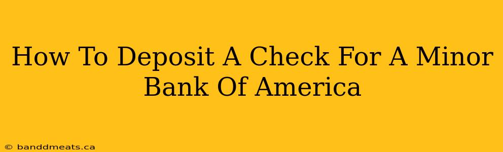 How To Deposit A Check For A Minor Bank Of America