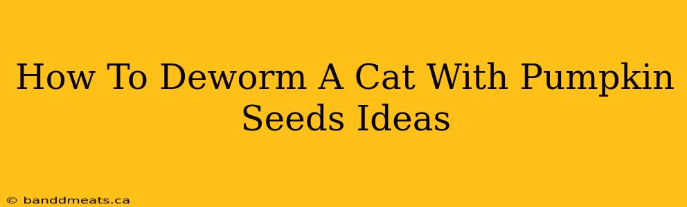 How To Deworm A Cat With Pumpkin Seeds Ideas