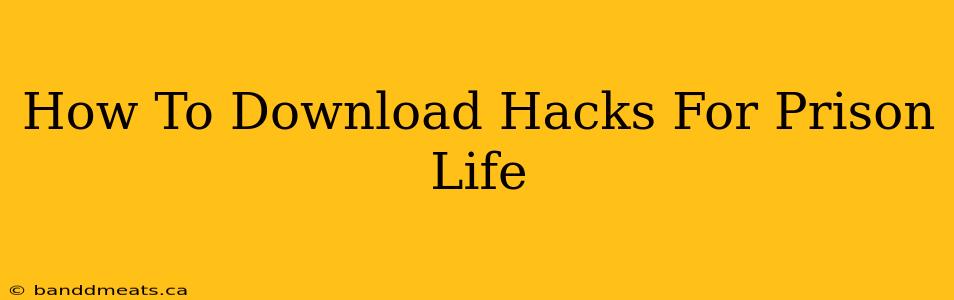 How To Download Hacks For Prison Life