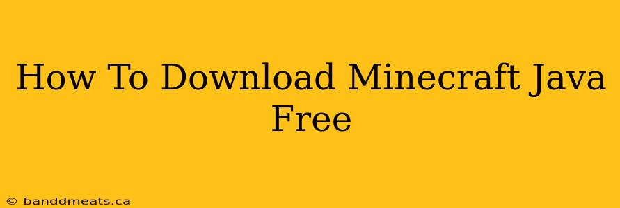 How To Download Minecraft Java Free