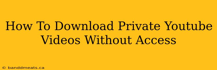 How To Download Private Youtube Videos Without Access