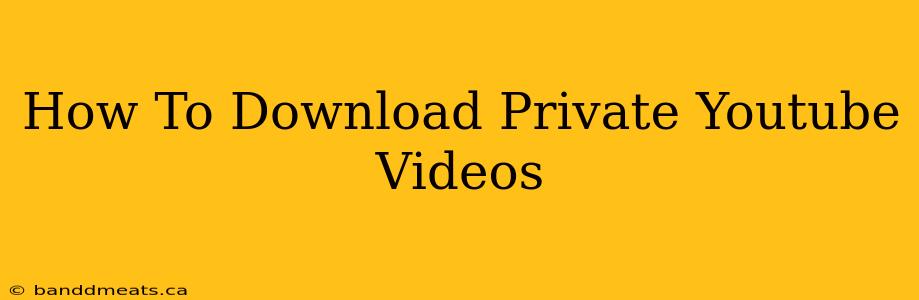 How To Download Private Youtube Videos