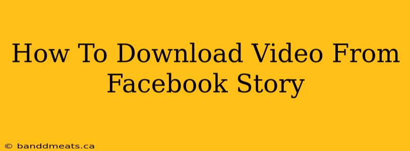 How To Download Video From Facebook Story