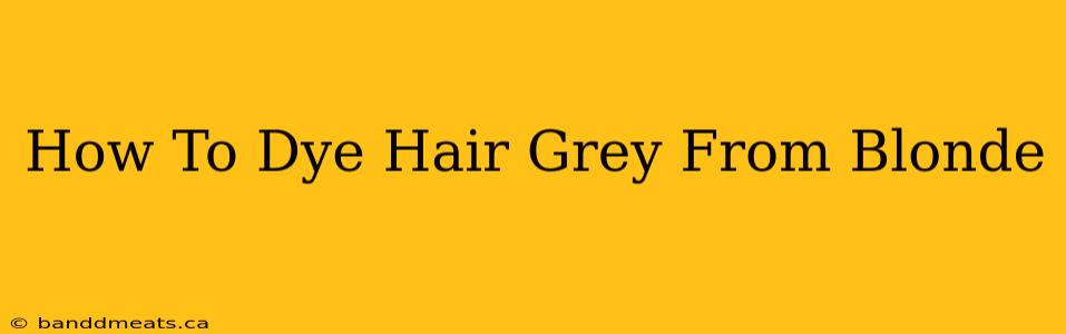 How To Dye Hair Grey From Blonde