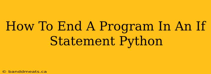 How To End A Program In An If Statement Python 