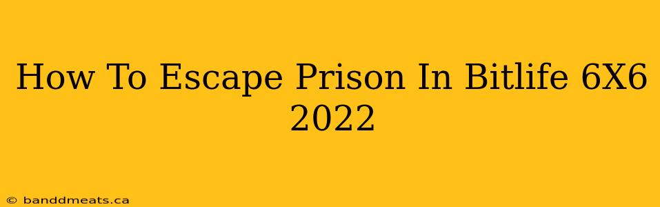 How To Escape Prison In Bitlife 6X6 2022