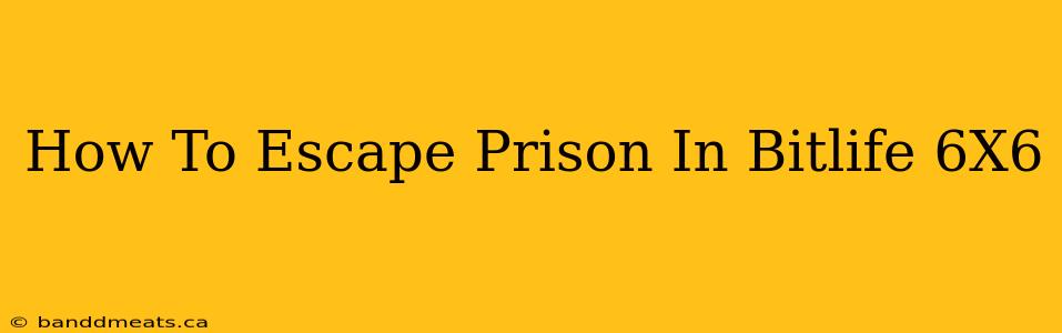 How To Escape Prison In Bitlife 6X6