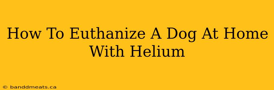 How To Euthanize A Dog At Home With Helium