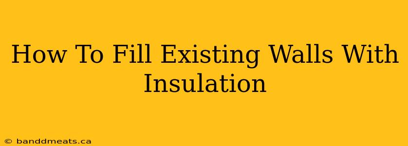 How To Fill Existing Walls With Insulation