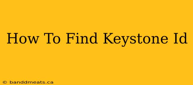 How To Find Keystone Id