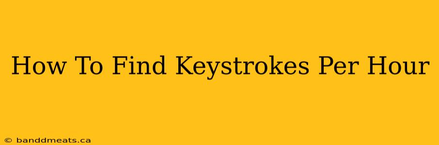 How To Find Keystrokes Per Hour