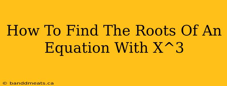 How To Find The Roots Of An Equation With X^3