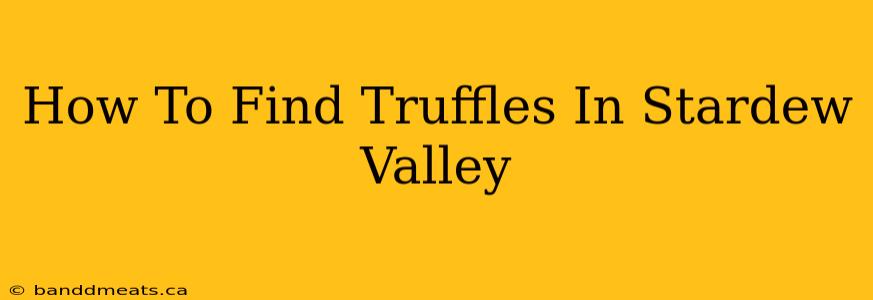 How To Find Truffles In Stardew Valley