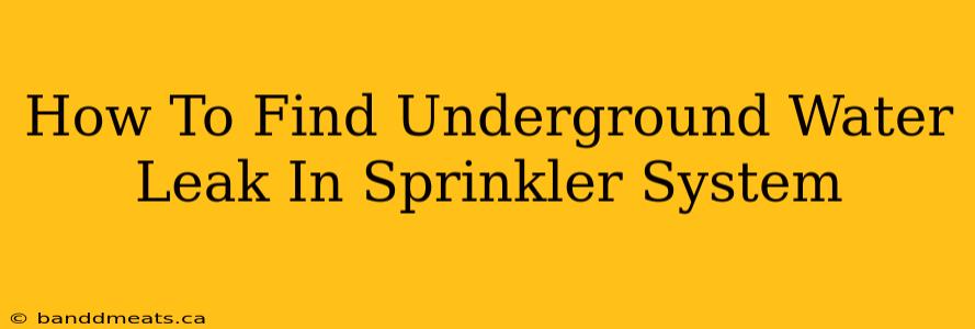 How To Find Underground Water Leak In Sprinkler System