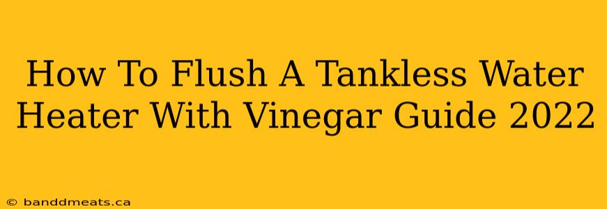 How To Flush A Tankless Water Heater With Vinegar Guide 2022