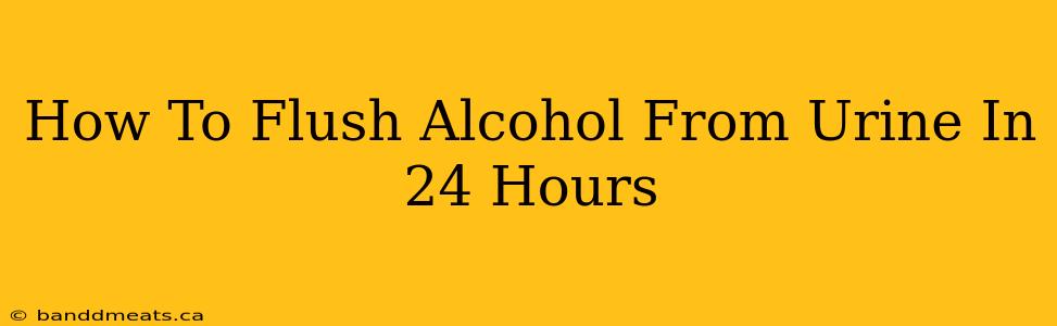 How To Flush Alcohol From Urine In 24 Hours