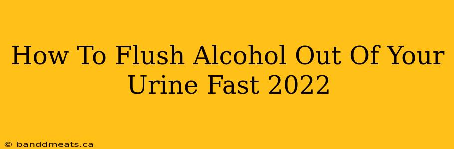 How To Flush Alcohol Out Of Your Urine Fast 2022