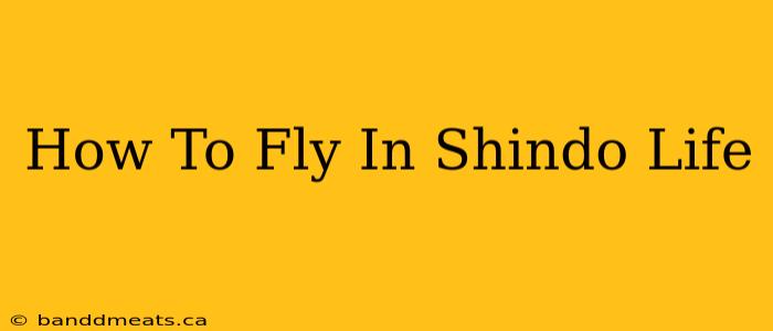 How To Fly In Shindo Life