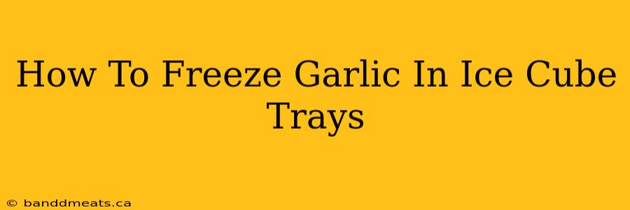 How To Freeze Garlic In Ice Cube Trays