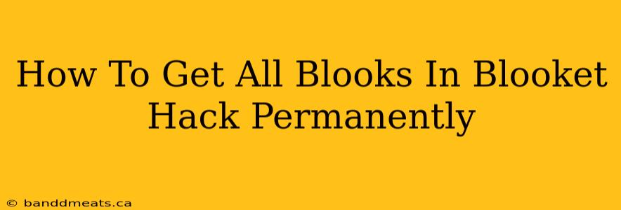 How To Get All Blooks In Blooket Hack Permanently