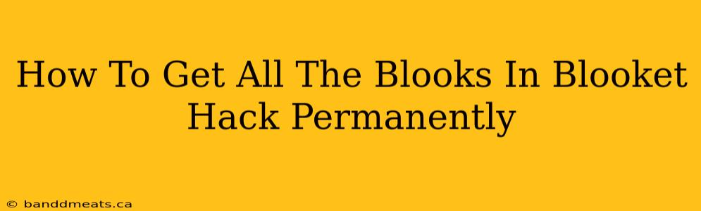 How To Get All The Blooks In Blooket Hack Permanently