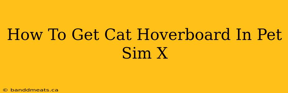 How To Get Cat Hoverboard In Pet Sim X