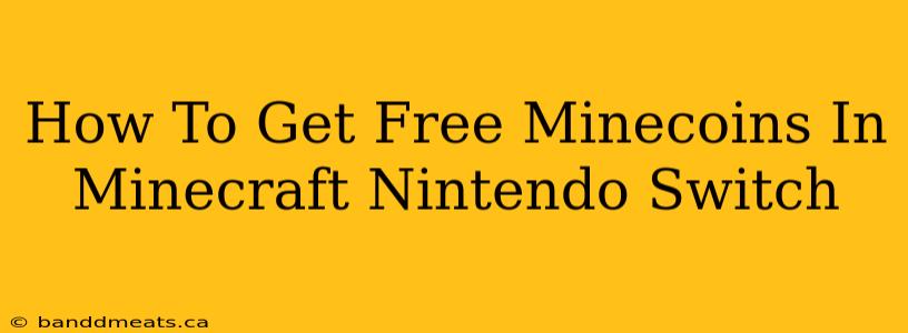 How To Get Free Minecoins In Minecraft Nintendo Switch