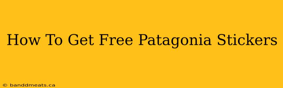 How To Get Free Patagonia Stickers