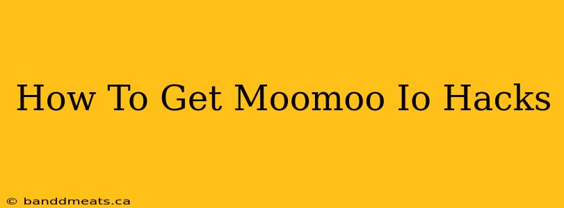 How To Get Moomoo Io Hacks