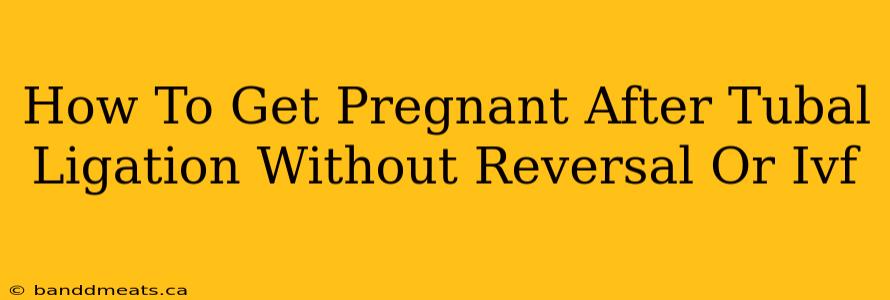 How To Get Pregnant After Tubal Ligation Without Reversal Or Ivf