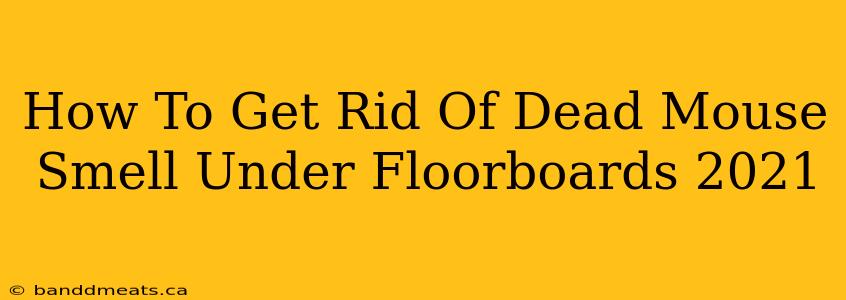 How To Get Rid Of Dead Mouse Smell Under Floorboards 2021