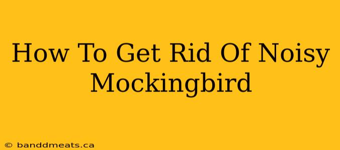 How To Get Rid Of Noisy Mockingbird